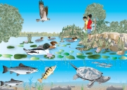 Kids & Aquatic Wildlife, Whats For Lunch