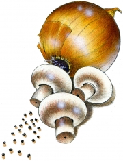 Onion, Mushrooms, Club House Ad, Enterprise Creative Selling