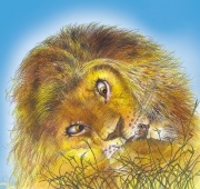 The Lion  &  Mouse for McGraw-Hill