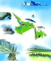 Newfoundland  &  Labrador The Kids Book Of Canada